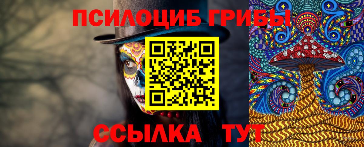 Михайловка  Галлюциногенные грибы Magic Shrooms  Вход с VPN 