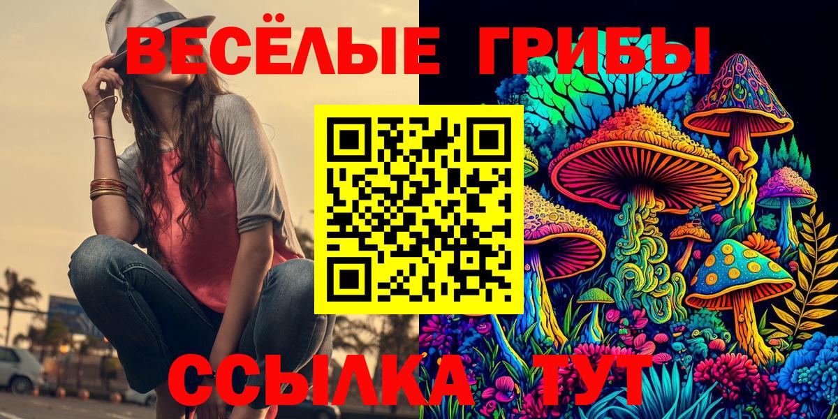 Псилоцибиновые грибы MAGIC MUSHROOMS Михайловка